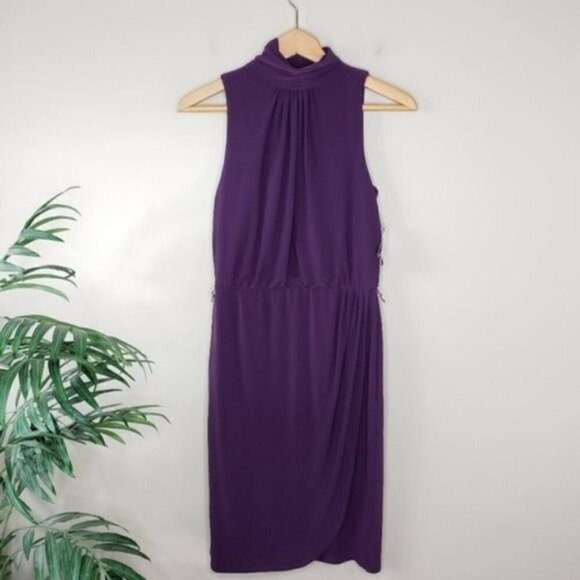 Lauren Ralph Lauren Dresses & Skirts - NWT Lauren Ralph Lauren | Purple Mock Neck Dress Size 6
